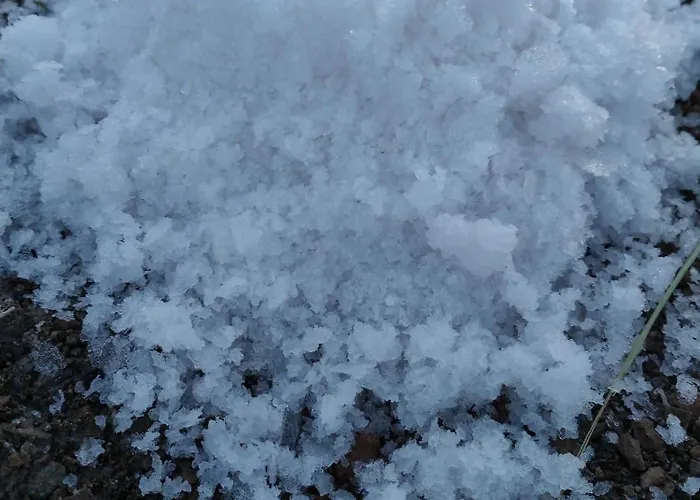 度假居 Salinas Luxury Danuria 托雷维耶哈